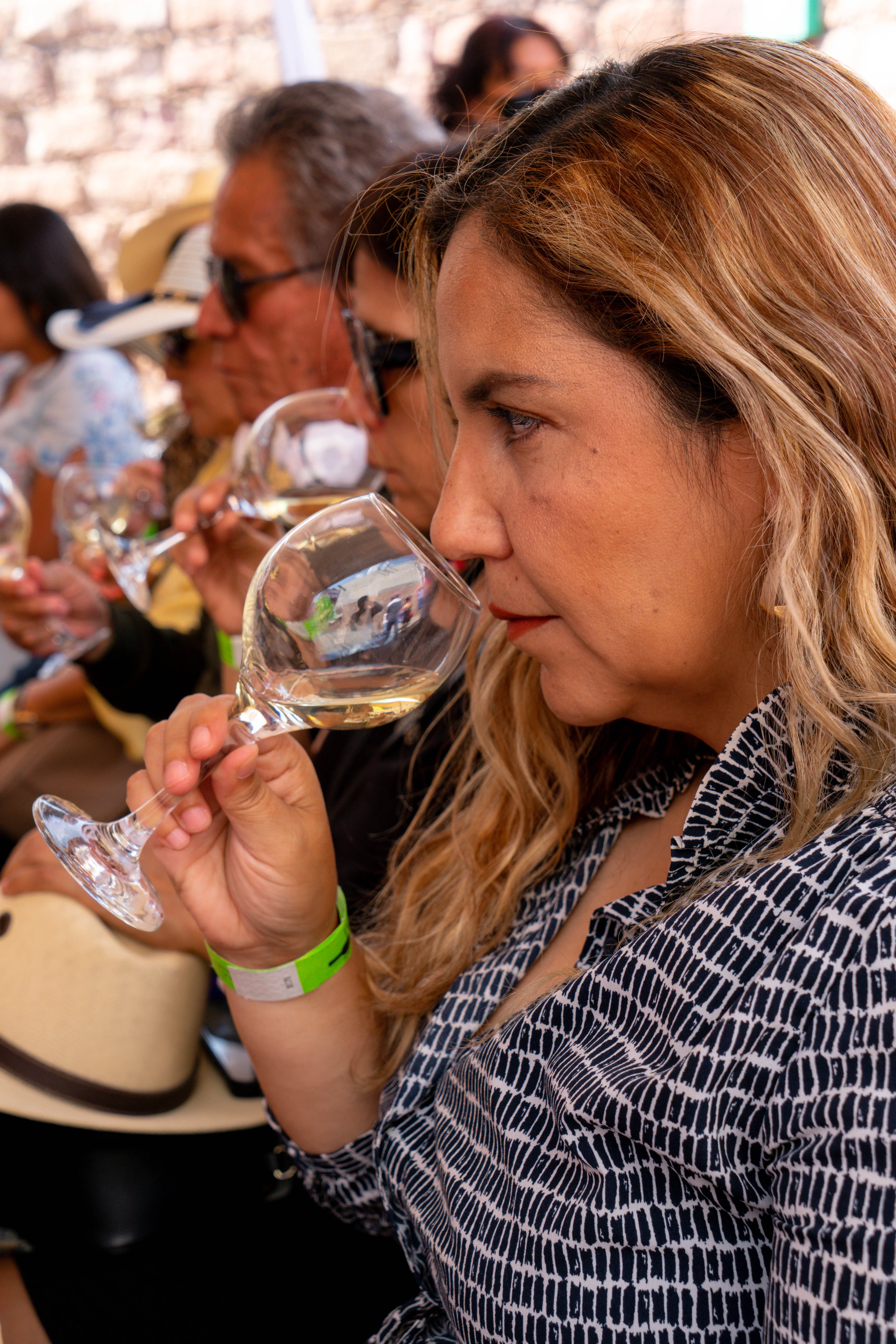 Festival del Vino